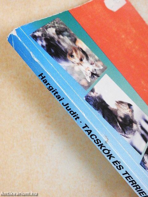 Tacskók és terrierek