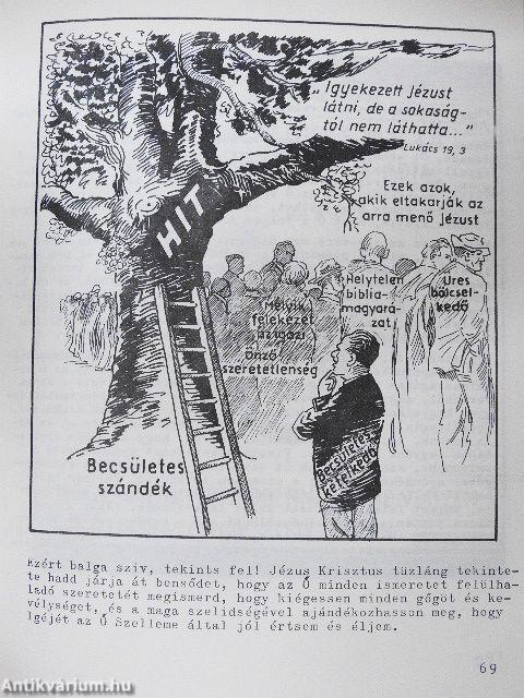 Evangéliumi beszélő képek