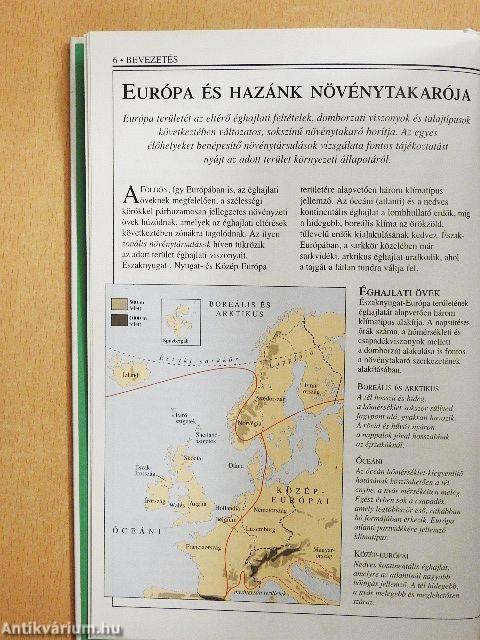 Vadvirágok