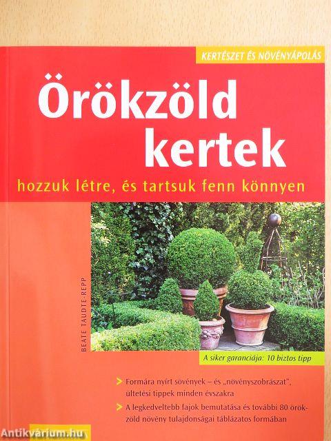 Örökzöld kertek