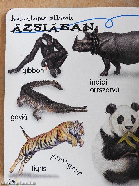 Kedvenc állataim földön-égen