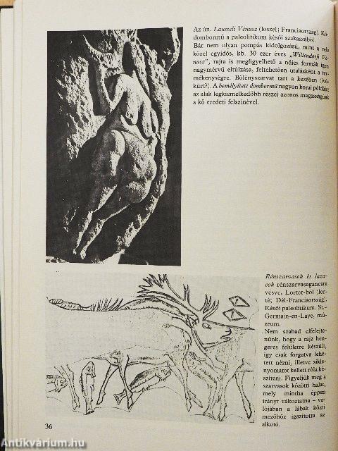 Műalkotások elemzése