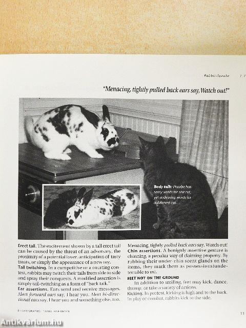 House Rabbit Handbook