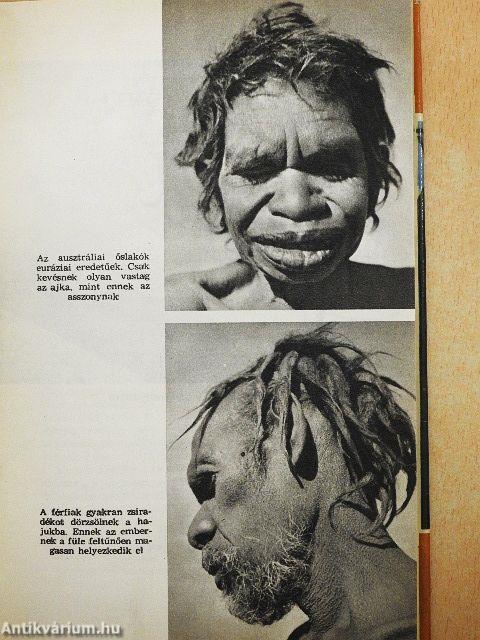 Az utolsó kannibálok