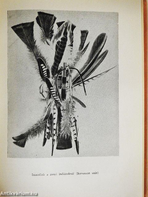 Könyv az indiánokról