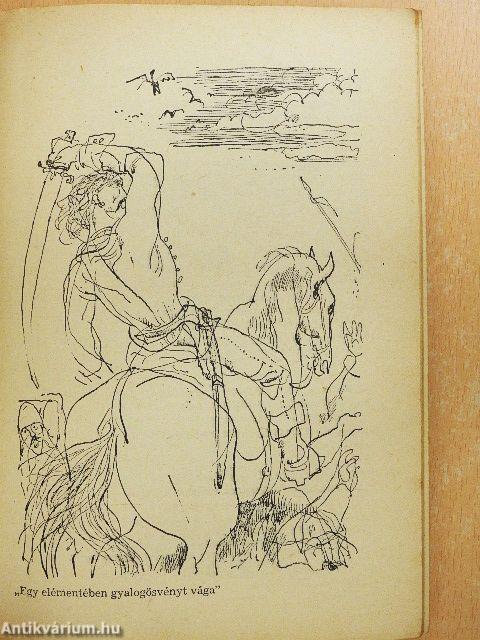 Magyar irodalmi olvasókönyv 7.