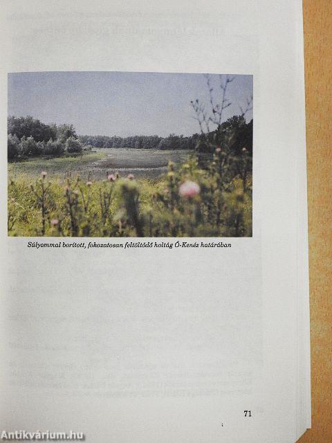 Erdei iskola Tornyospálcán