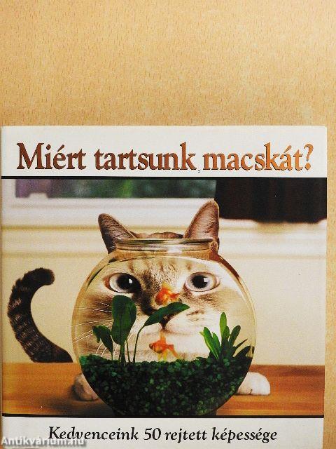 Miért tartsunk macskát?