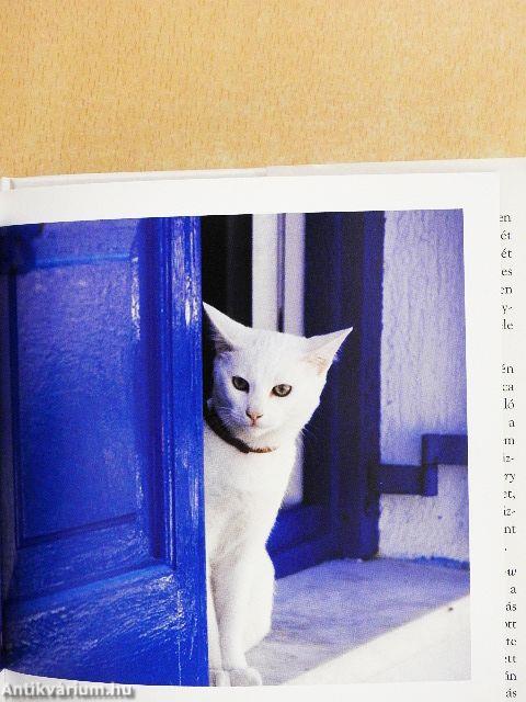 Miért tartsunk macskát?