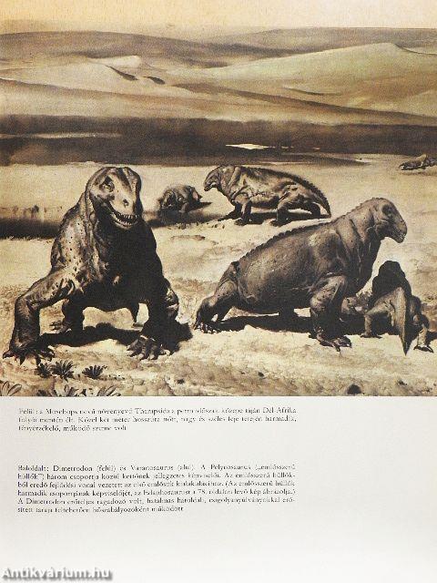 Élet az ember előtt