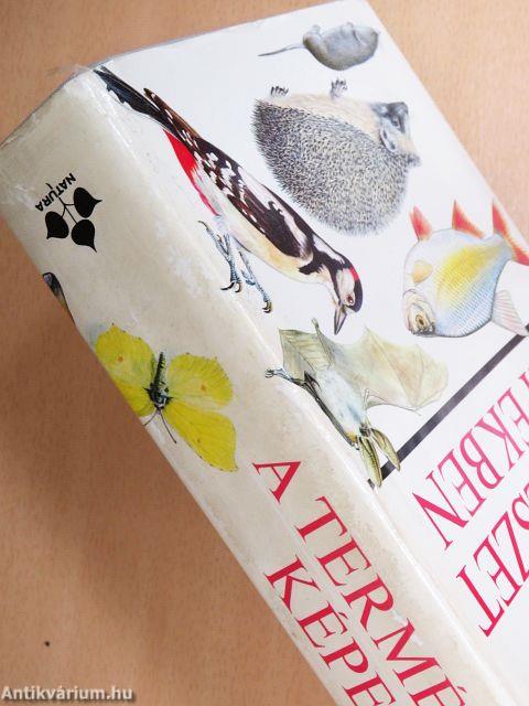 A természet képekben