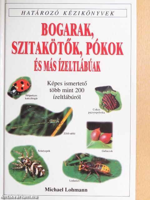 Bogarak, szitakötők, pókok és más ízeltlábúak