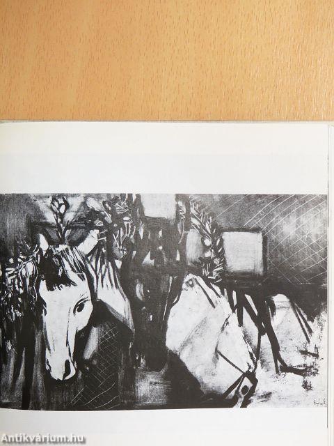 Szótlan barátaink