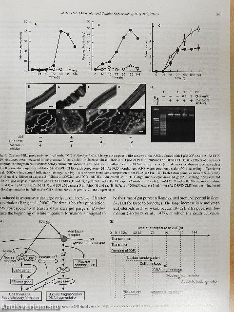 Molecular and Cellular Endocrinology 15 January 2007