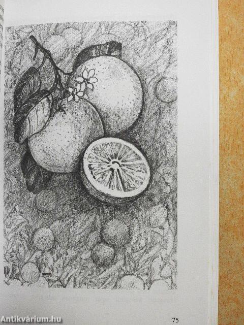 A csodálatos grapefruitmag