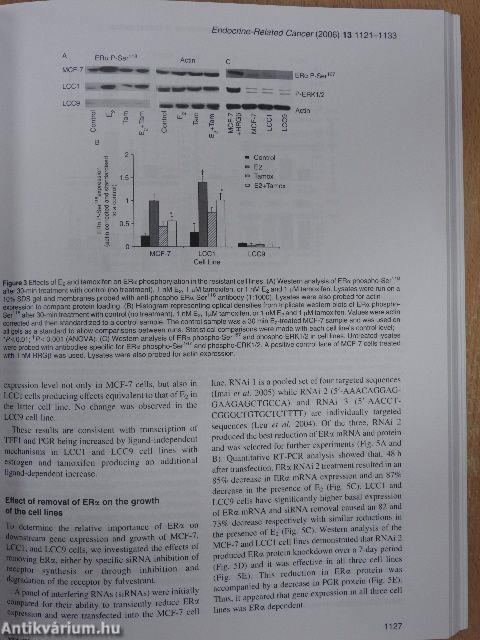 Endocrine-Related Cancer December 2006