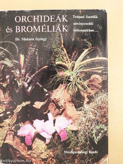 Orchideák és broméliák