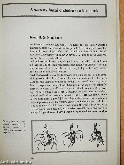 Orchideák és broméliák