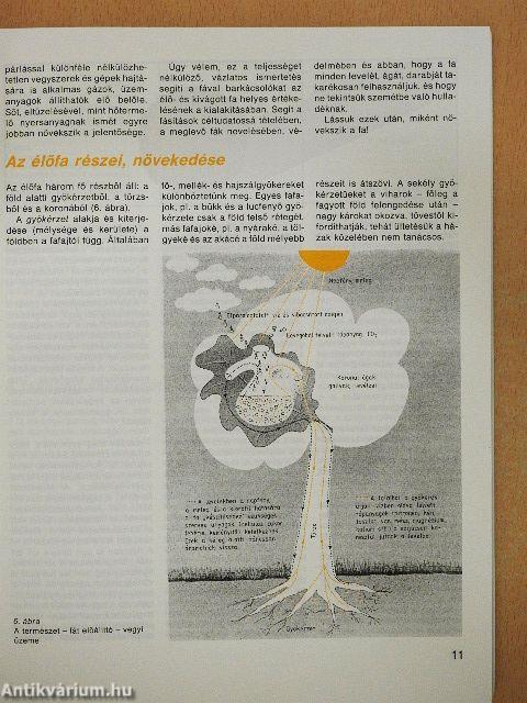 Famunkák jó szerszámmal