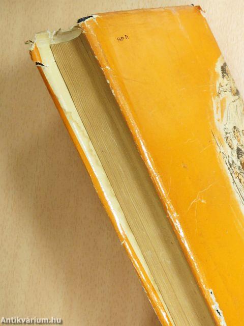 Imposztorok tűköre