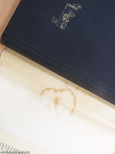 Imposztorok tűköre