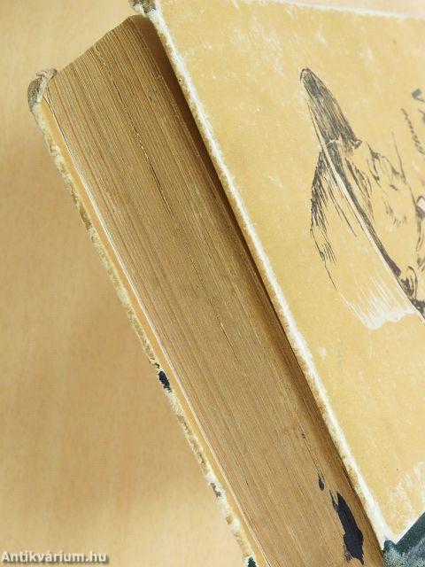 Tamás bátya kunyhója