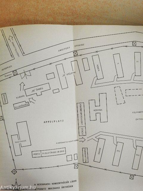 Hitler-Allee
