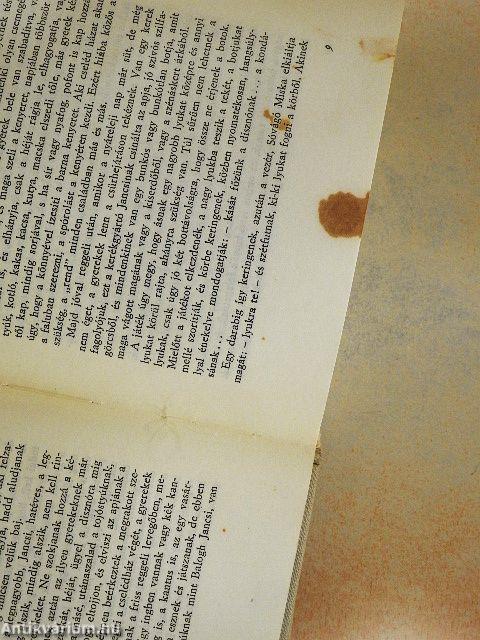 A Balogh család története I.