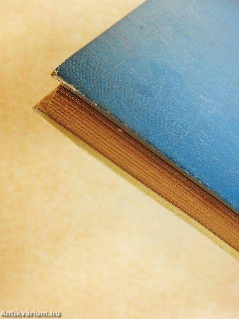 A koppányi aga testamentuma