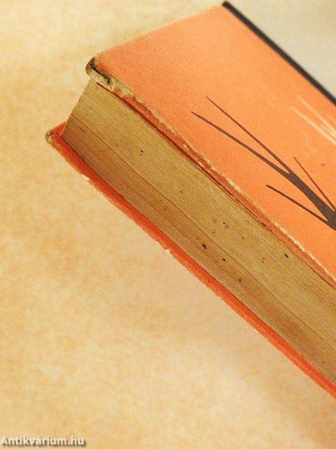 Megbízható úriember