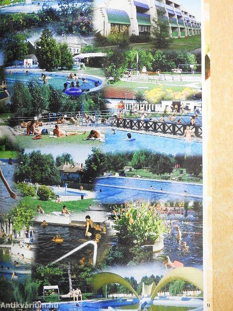 A dél-alföldi régió turisztikai kézikönyve