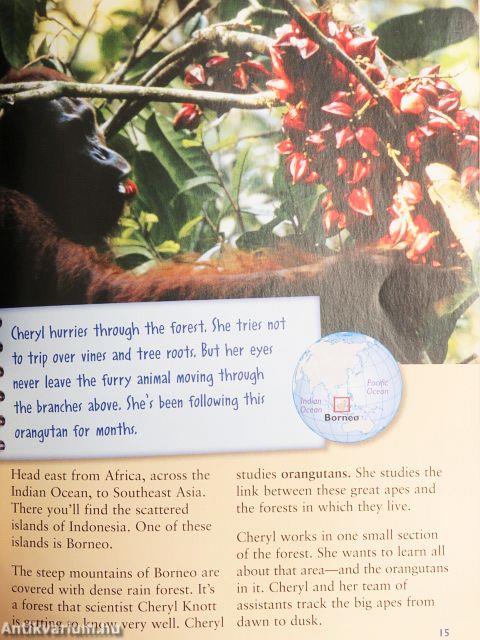 Journeying into Rain Forests