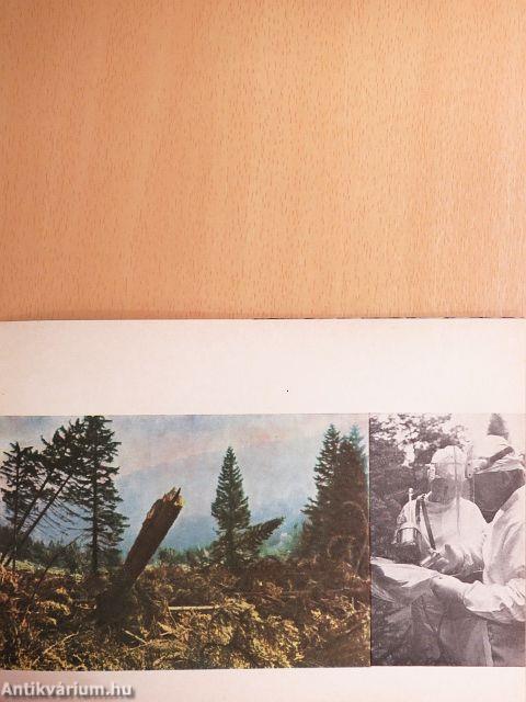 Krkonose National Park