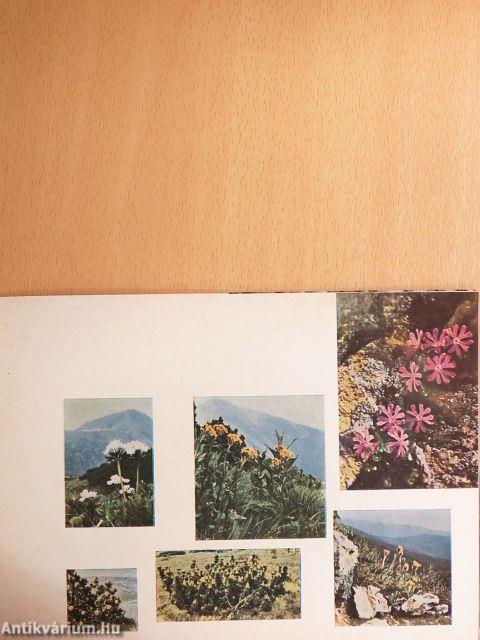 Krkonose National Park