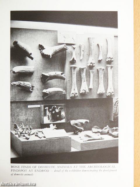 Guide to the Exhibitions of the Hungarian Agricultural Museum