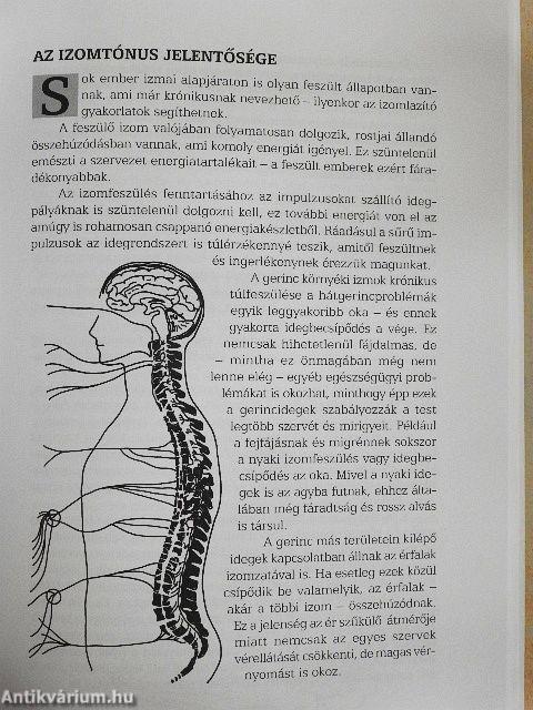 Meditációs megújulás