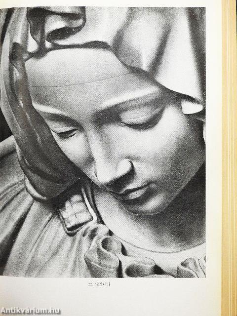 Michelangelo