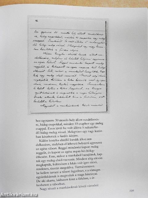 A mezővizes Oroszlány István