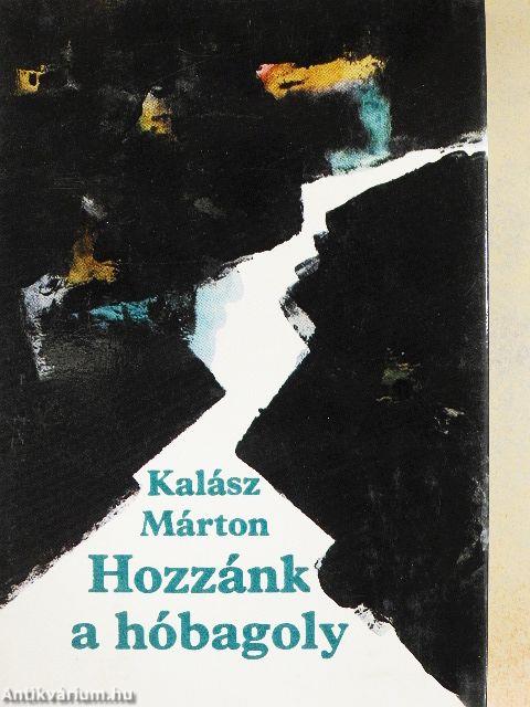 Hozzánk a hóbagoly