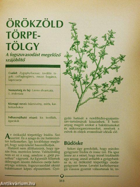 Gyógynövény enciklopédia