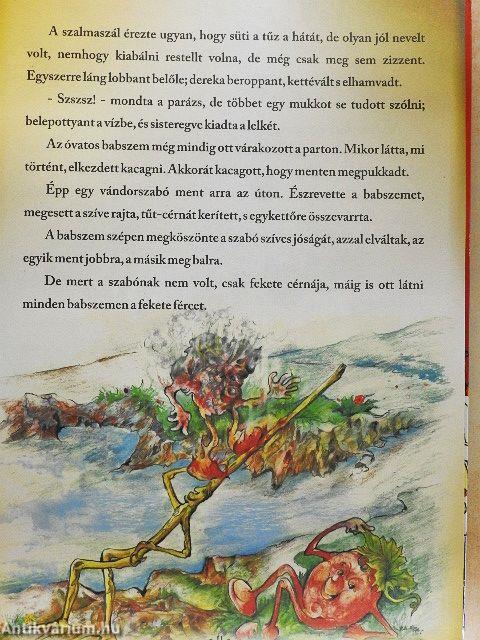 Grimm legszebb meséi-Csipkerózsa