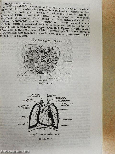Anatómia, élettan-kórélettan I-II. 