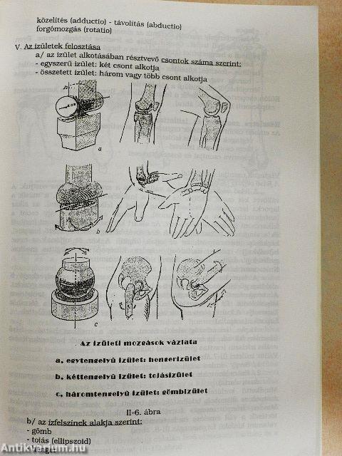 Anatómia, élettan-kórélettan I-II. 