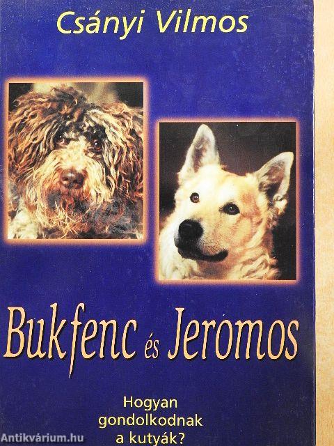Bukfenc és Jeromos