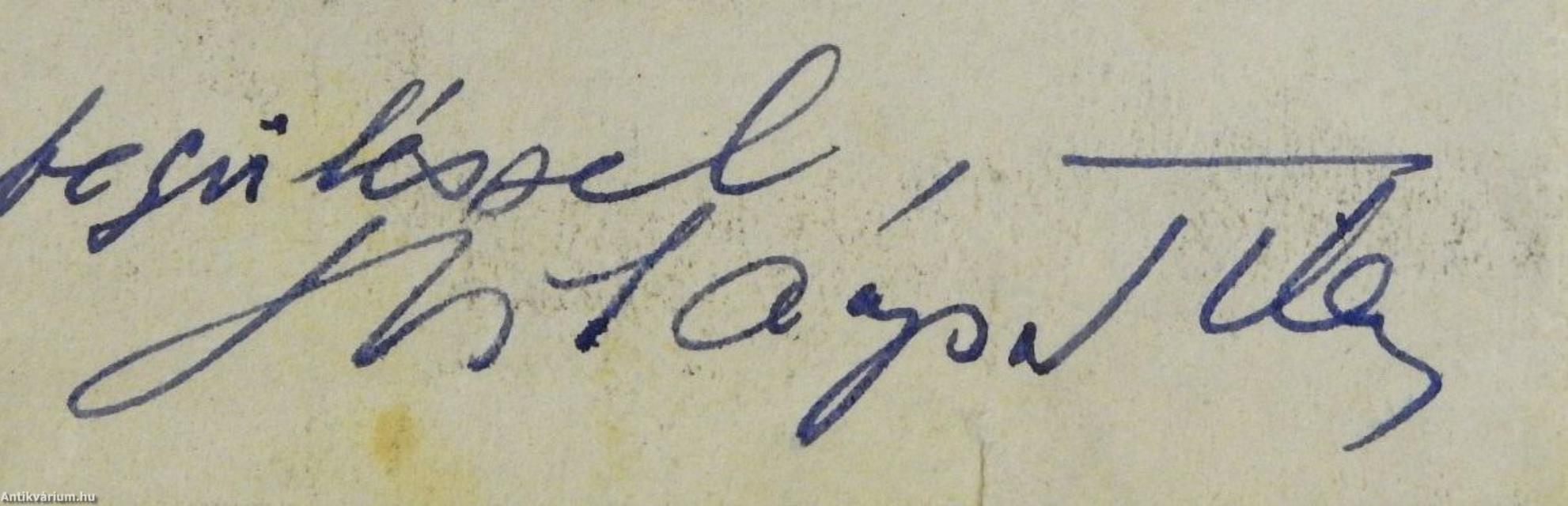 Együgyü program (dedikált példány)