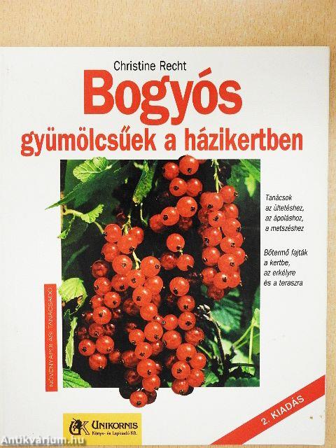 Bogyós gyümölcsűek a házikertben