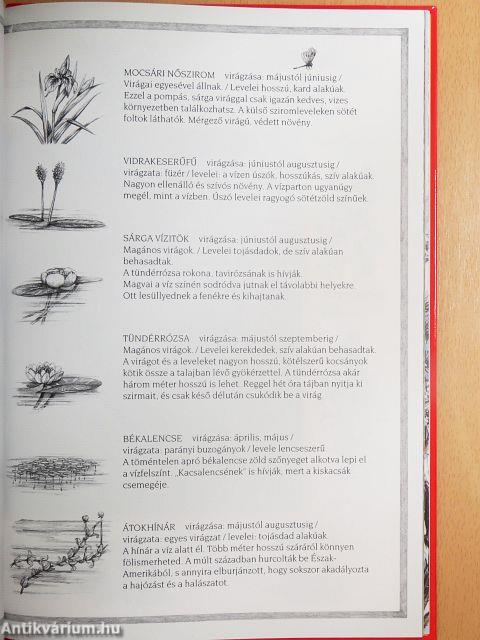 Első természethatározóm