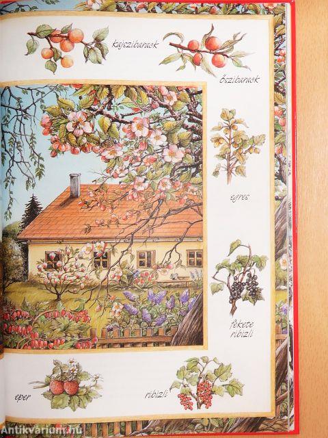 Első természethatározóm