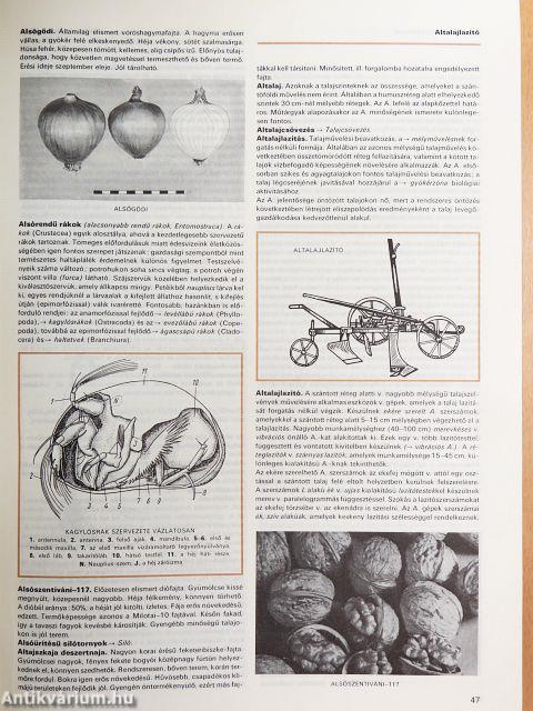 Mezőgazdasági Lexikon I-II.