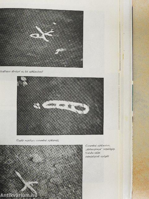 Én kedves Amazóniám 